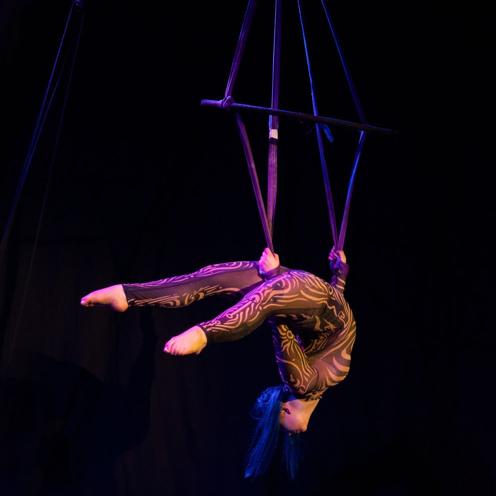 Emily Rose - aerial straps